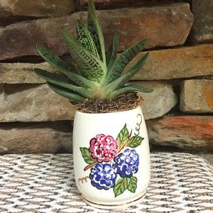 VTG Knotts Berry Farm Planter Cottagecore Fruit